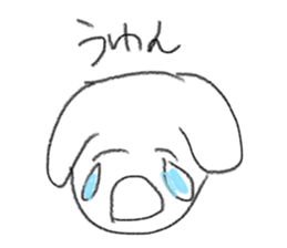 427556229