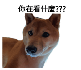 427559476