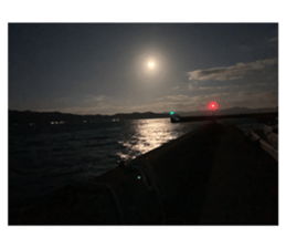 427582395