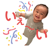 427591854