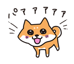 427595632