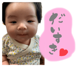 427614058