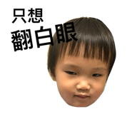 42762058