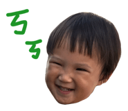 42762063