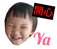 42762065