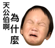 42762069