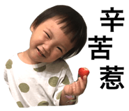 42762078