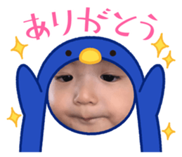 427630621
