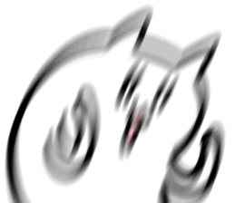 427647255