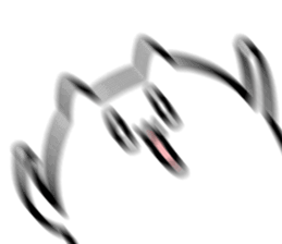 427647256