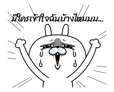 ลายที่ 13