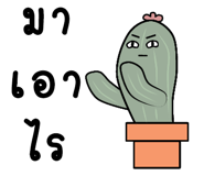 427688090