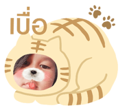 427770402