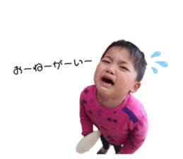 427776773