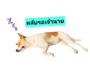 427778312