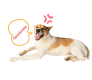 427778314