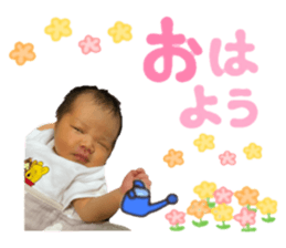 427805839