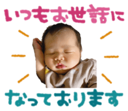 427805869