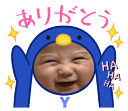 427810216