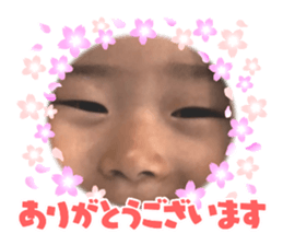 427811124