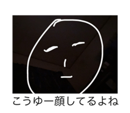427833884