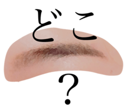 427851606