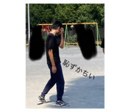 427906133