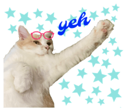 427910850