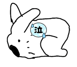 428031453