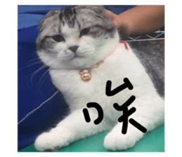 428031610