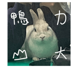 428031611