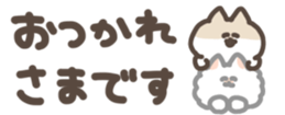 428040033