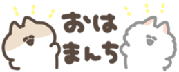 428040036