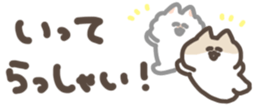 428040049