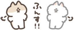 428040059
