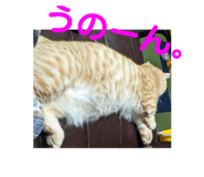 428101579