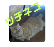 428101597