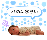 428104583