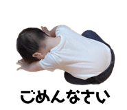 428112492