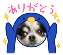 428114521
