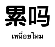 428148305