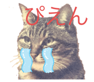 428152474