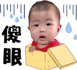 428190023