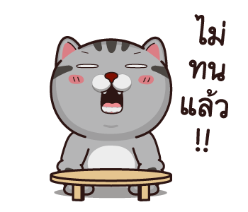 วีต้าแมวป่วน กวนยกกำลังสอง รูปที่ 8