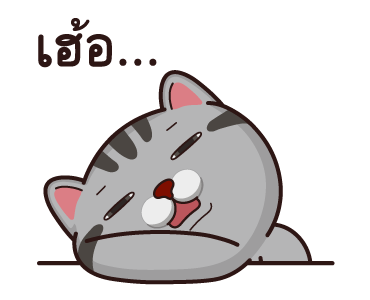 วีต้าแมวป่วน กวนยกกำลังสอง รูปที่ 10