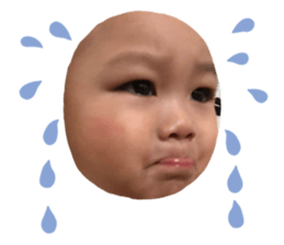 428226829