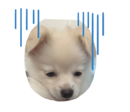 428269709