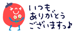 428316290