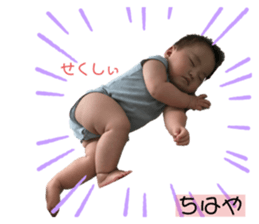 428325502