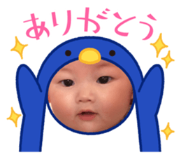 428327029
